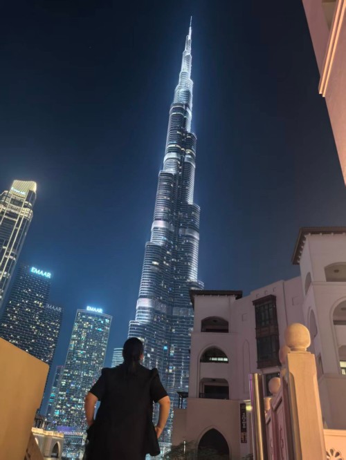 깊은 재배, 미래를 강화: 중핑 기술의 기록'중동의 산업 여행6