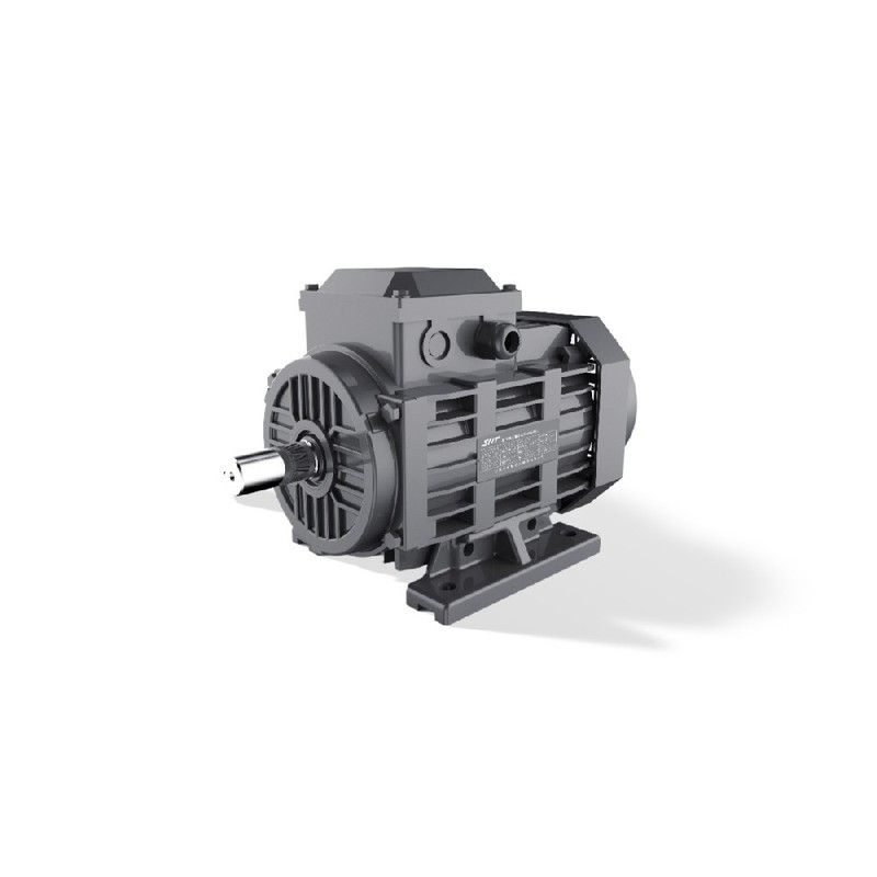 GESHI FTYP LSPM 모터 0.55-15kW IE4 라인 스타트 IP55