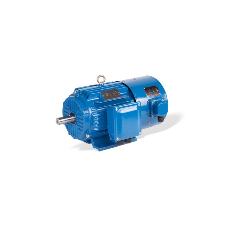 GESHI YVF2 VFD 인버터 전용 모터 0.55-315kW IP54